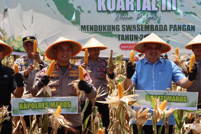 Dukung Swasembada Pangan, Polres Maros Gelar Panen Raya Jagung Serentak Kuartal III di Bantimurung
