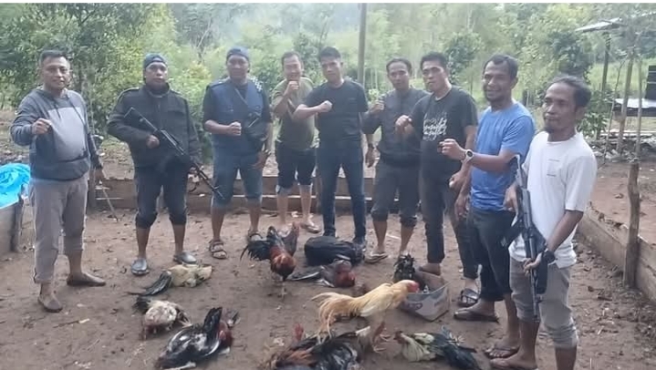 Polsek Gantarang Gerebek Arena Sabung Ayam di Bajiareng: Dua Bos Judi Kabur, Belasan Ayam Disita